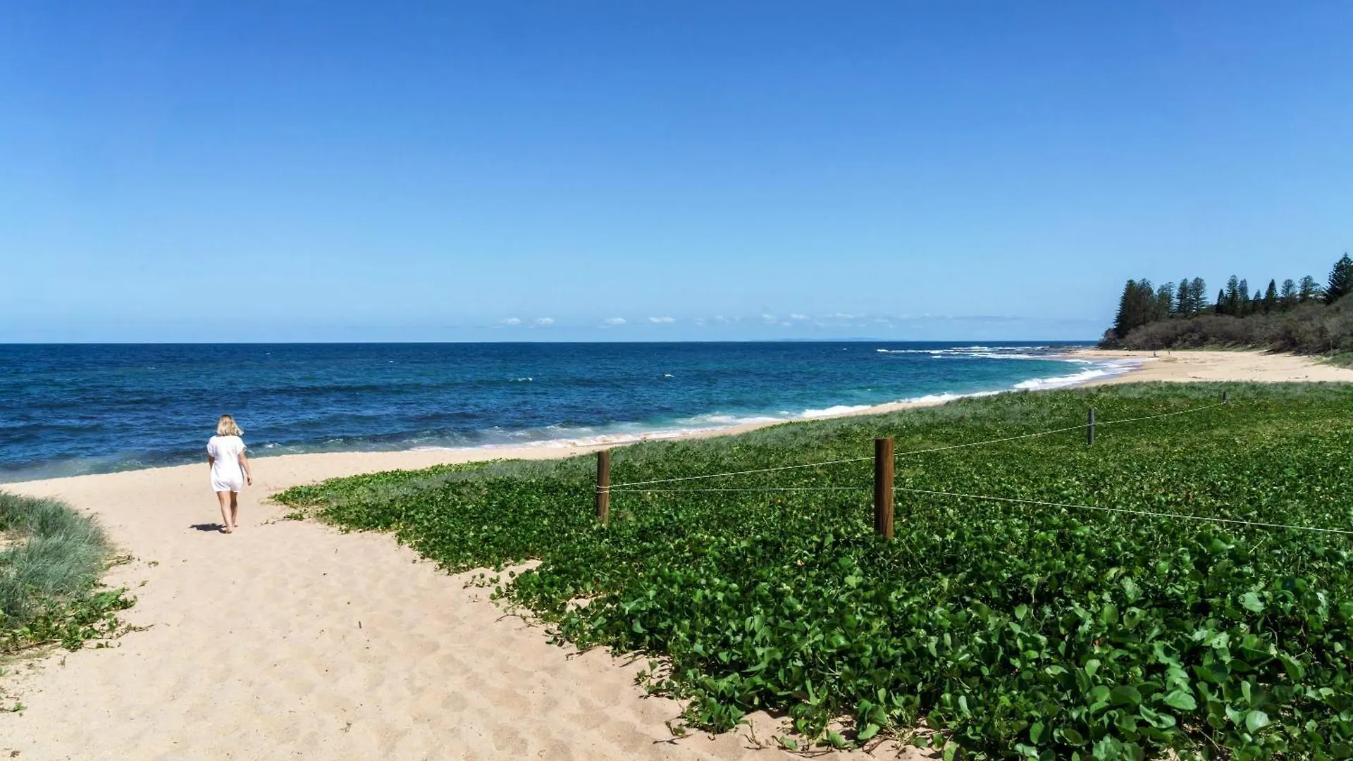 Apartament Shelly Beach Seaside Studio B Caloundra