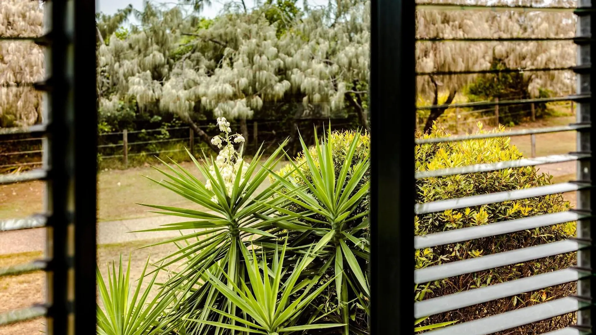 Shelly Beach Seaside Studio B Caloundra Australia